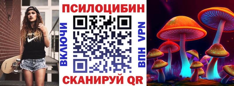 Галлюциногенные грибы прущие грибы  Белёв 